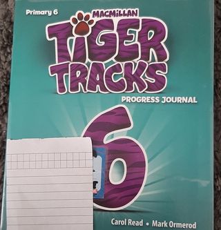 Tiger Tracks 6 Primaria
