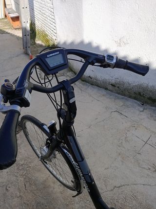 Bicicleta eléctrica Winora