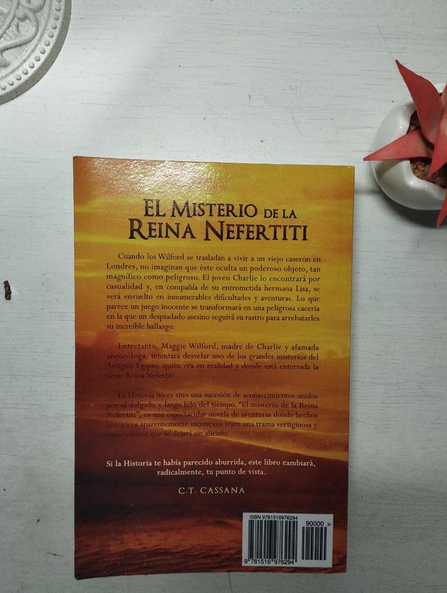 El misterio de la Reina de Nefertiti.Libro juvenil