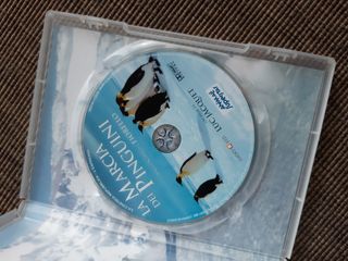 DVD la marcia dei pinguini