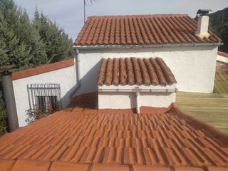 Canalones jyl