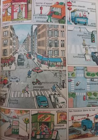 Diccionario LAROUSSE DES DÉBUTANTS