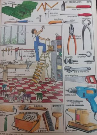 Diccionario LAROUSSE DES DÉBUTANTS