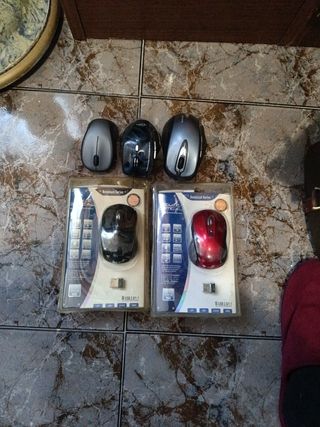 Ratones 