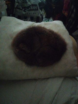 Gorras y camisas militar