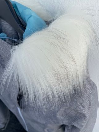 Chaquetón nieve y guantes.