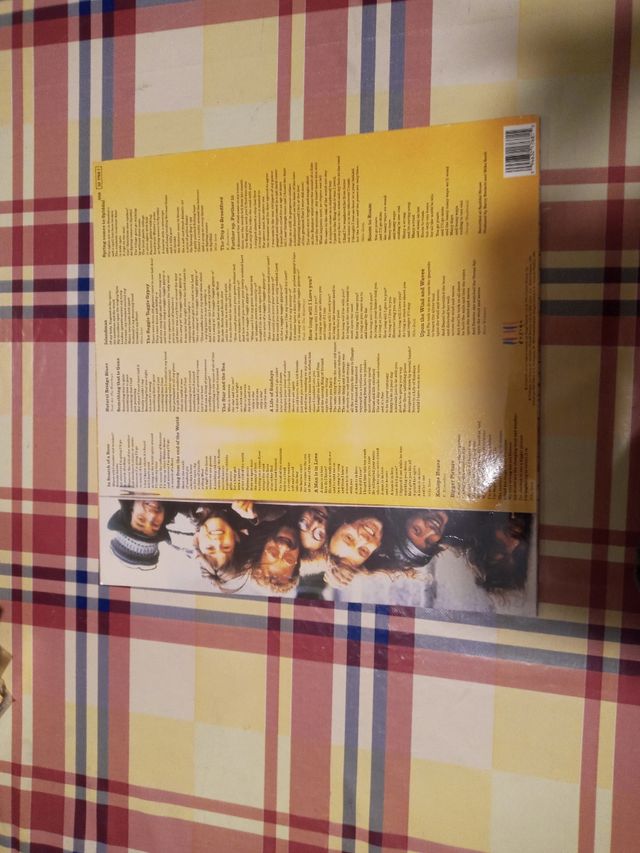 Vinilo the water boys, Room to Roam