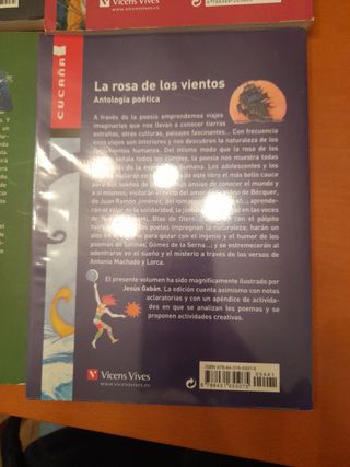 Pack de 4 libros de Vicens Vives