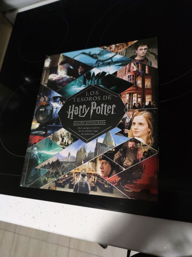 Libro Harry Potter