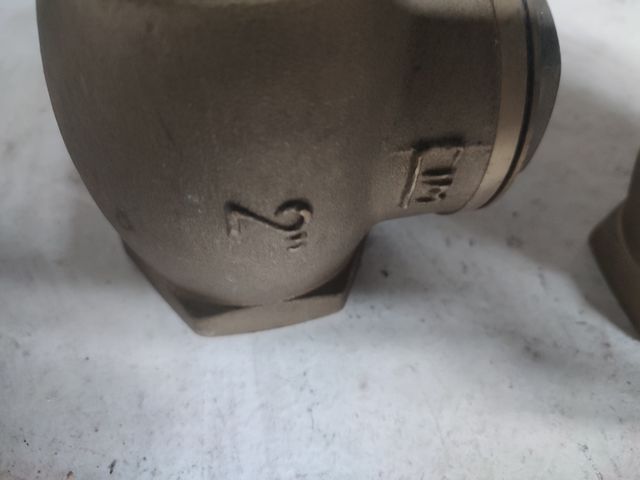 Válvula de retención de clapeta 2 pul