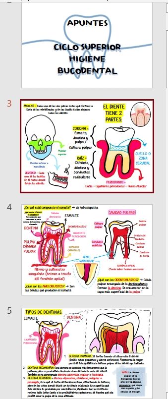 Apuntes CS Higiene Bucodental 