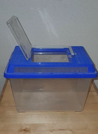 Terrario acuario 18x14x14