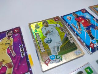 Panini Temporada 2019 2020