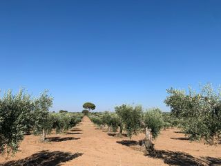 Oportunidad Terreno en venta