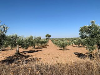 Oportunidad Terreno en venta