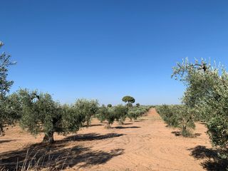 Oportunidad Terreno en venta