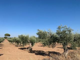 Oportunidad Terreno en venta