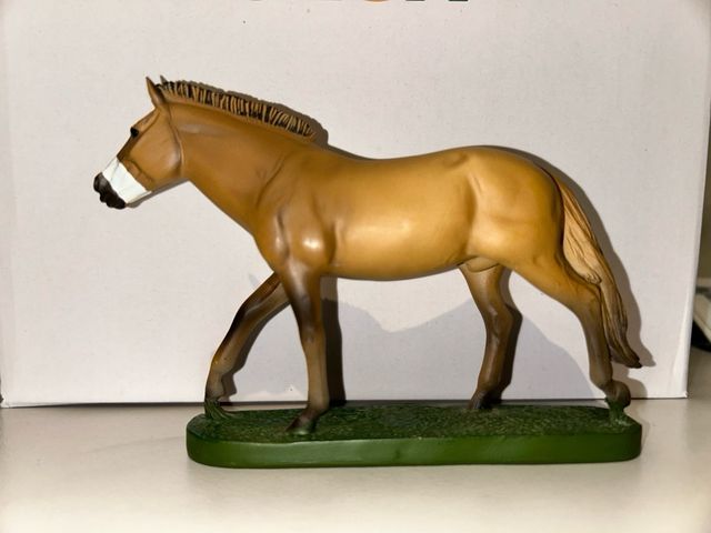 Razze cavalli da collezione