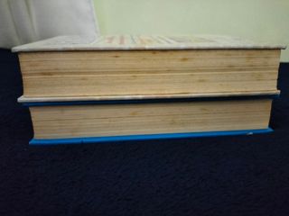 Lote Diario de Nikki de Rachel Renee Russell