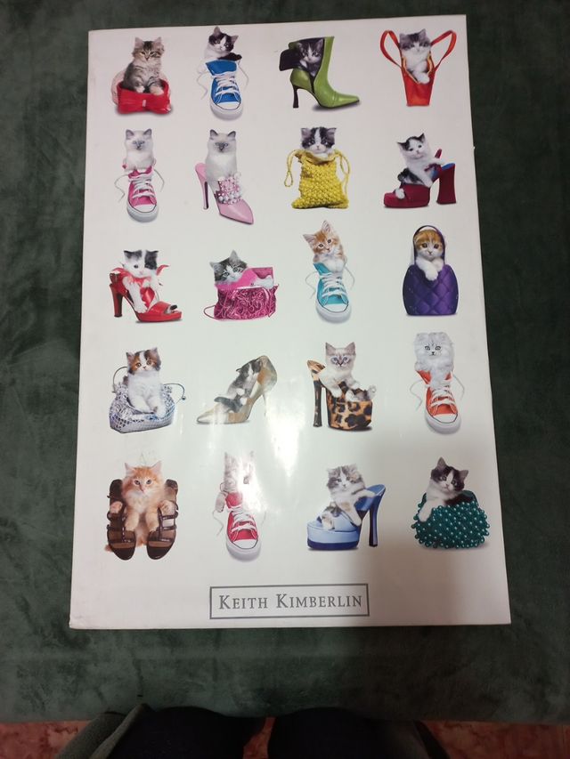 Cuadro gatitos 86 cm