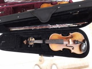 Violines Corina 1/4