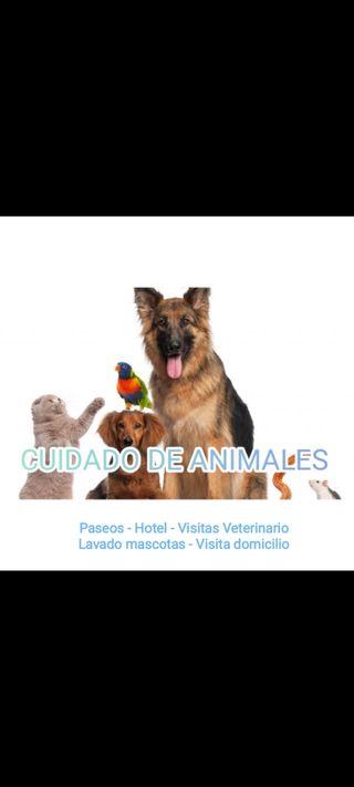 Cuidado de mascotas, Servicios Mascotas, Paseos