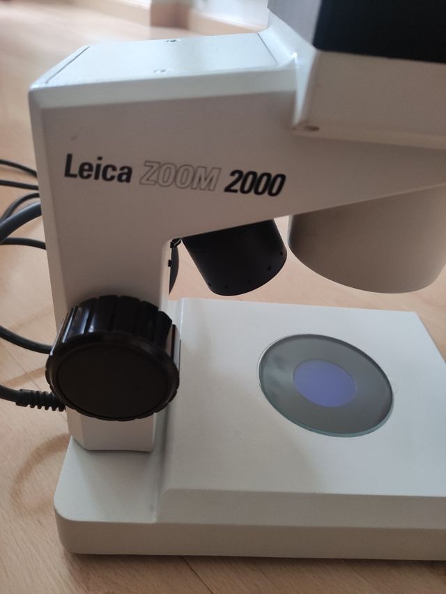 Microscopio Leica zoom 2000