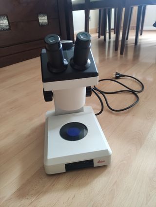 Microscopio Leica zoom 2000