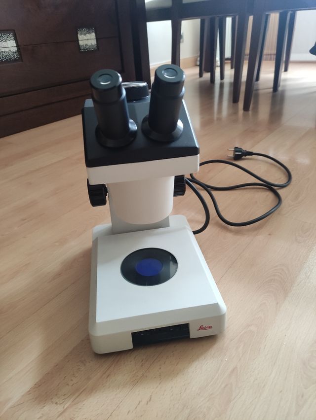 Microscopio Leica zoom 2000