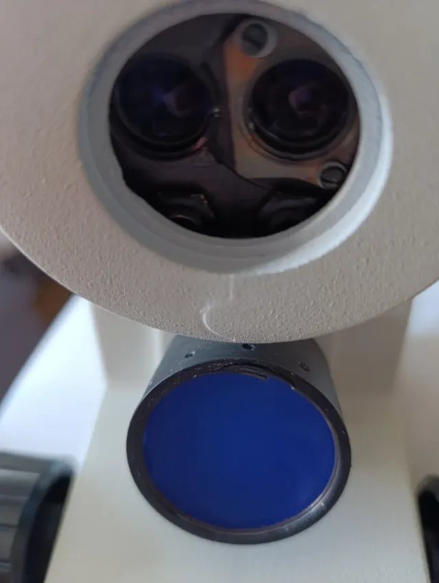 Microscopio Leica zoom 2000