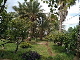 habitación en casa compartida