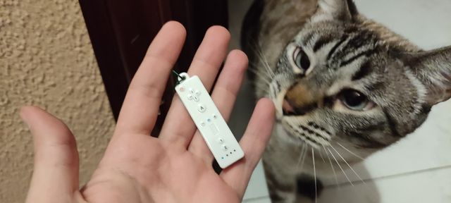 Bolsa Wii Sport con Accesorios