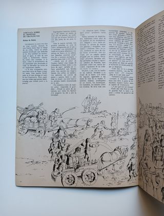 Robin de los bosques.