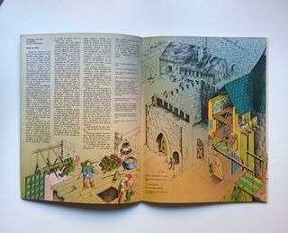 Robin de los bosques.