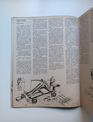 Robin de los bosques.