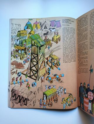 Robin de los bosques.