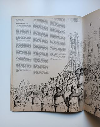 Robin de los bosques.