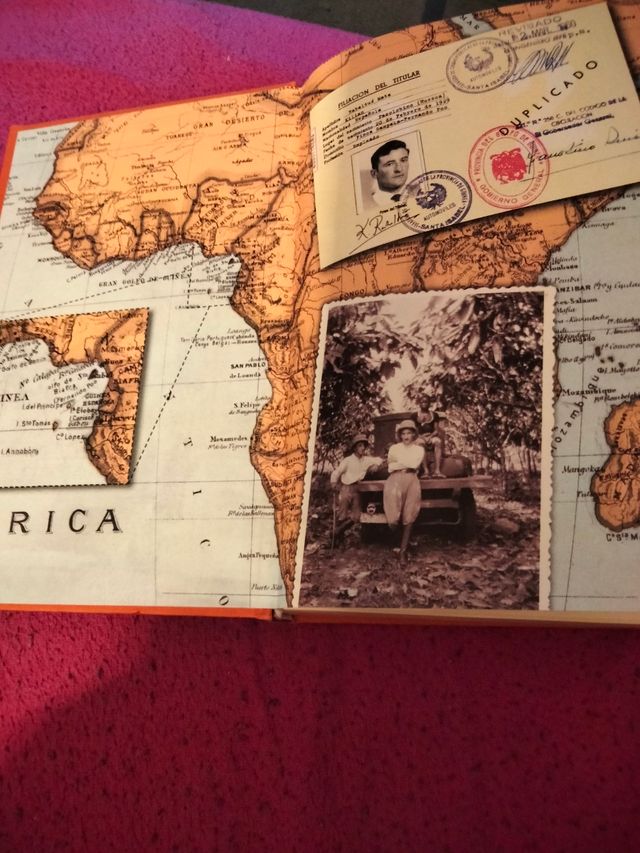 palmeras en la nieve