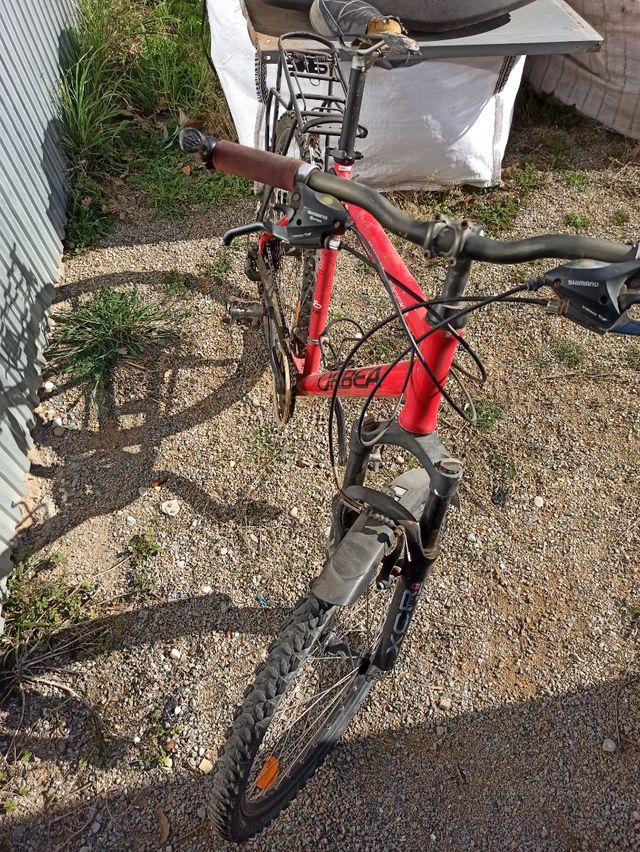 Bicicleta Orbea Ravel