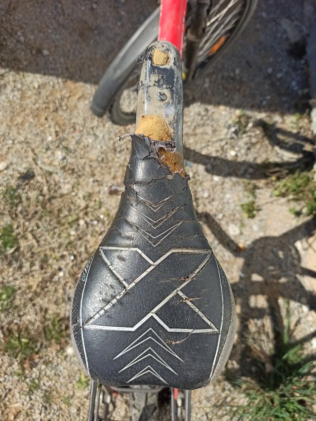 Bicicleta Orbea Ravel