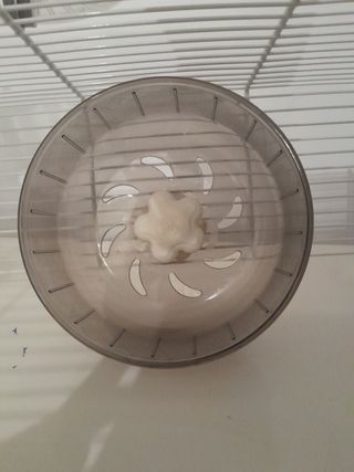 Jaula para hamster