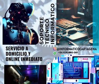 informático a domicilio