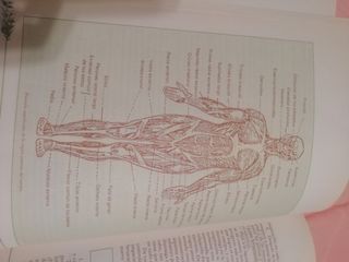 LOTE de 3 LIBROS de Medicina Natural