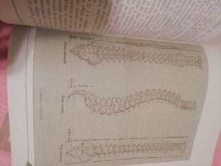 LOTE de 3 LIBROS de Medicina Natural