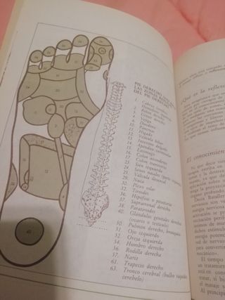 LOTE de 3 LIBROS de Medicina Natural