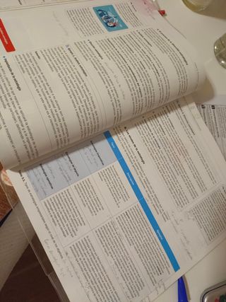 Economía de la empresa 2 bachillerato