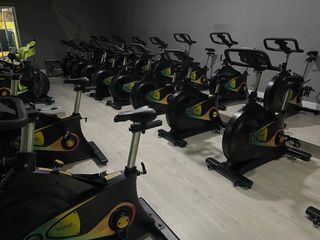 Lote 10 bicis Spinning 