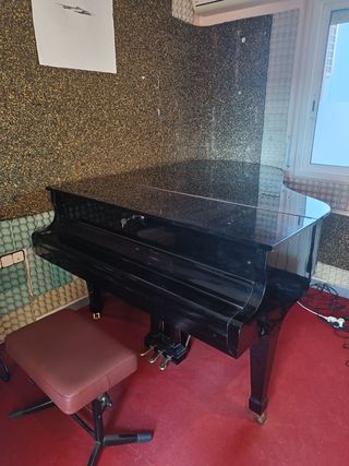 Pianoforte a coda
