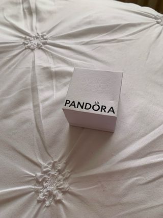 caja de la marca pandora 250 cada una
