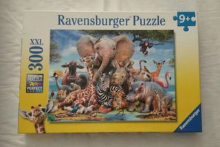 Puzzle per diverse età